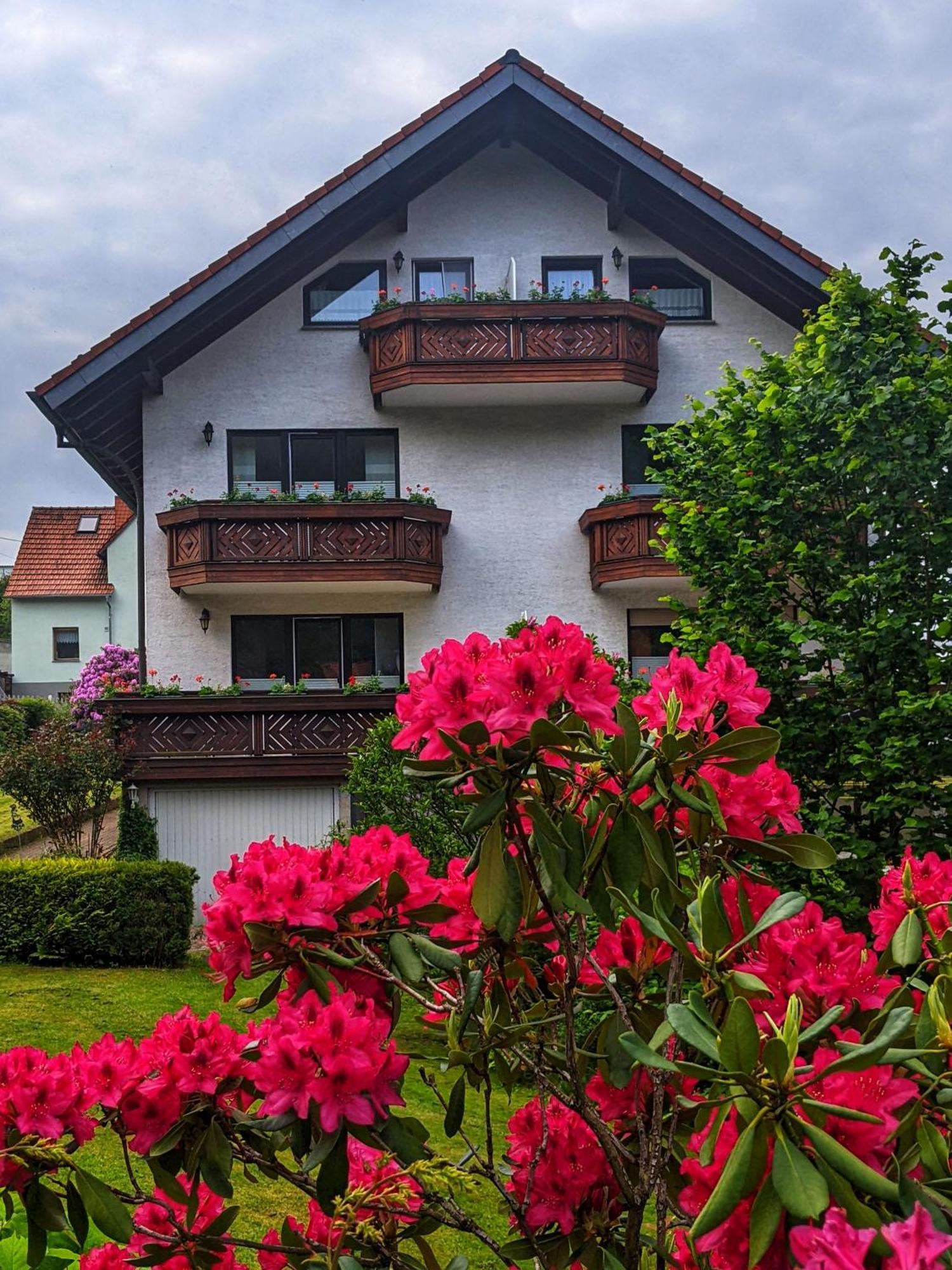 Gaestehaus Regina Ruhla Dış mekan fotoğraf